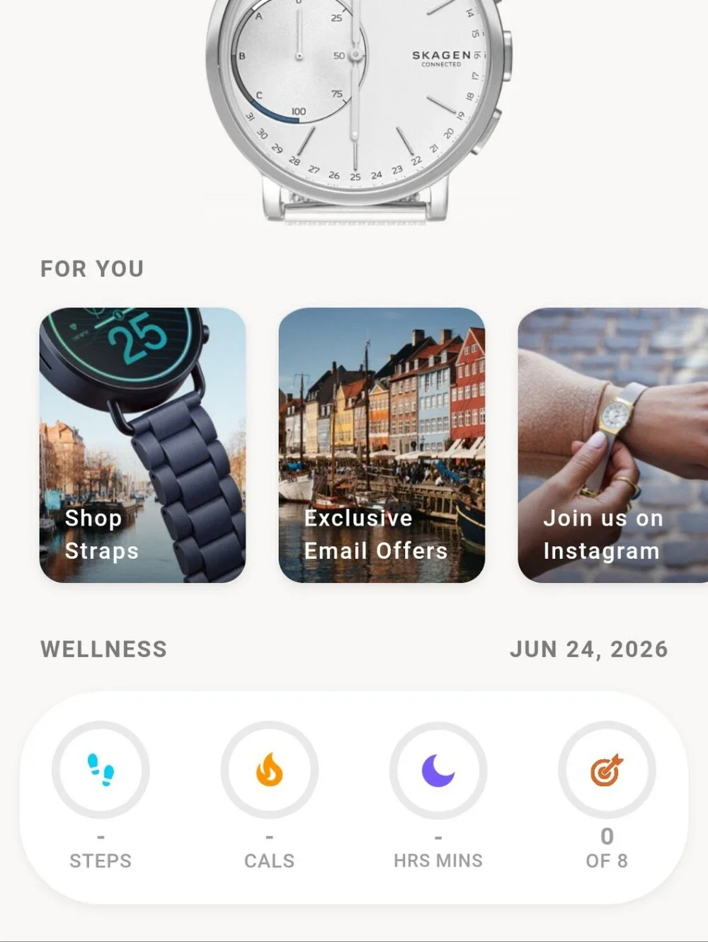Skagen retro 2017